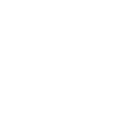 NSRC Logo